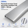 Потолочная рейка Cesal S100, алюминиевая, 100×3000 мм, цвет «Металлик серебристый С02» Потолочная рейка Cesal S100, алюминиевая, 100×3000 мм, цвет «Металлик серебристый С02»